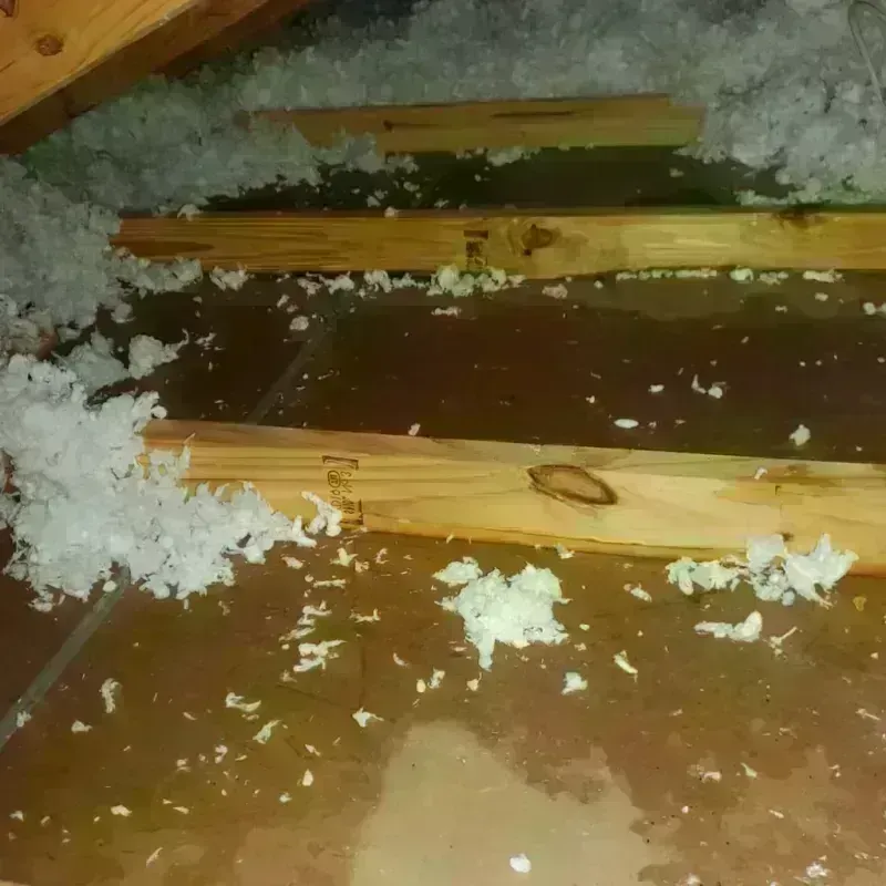 Attic Water Damage in West Modesto, CA