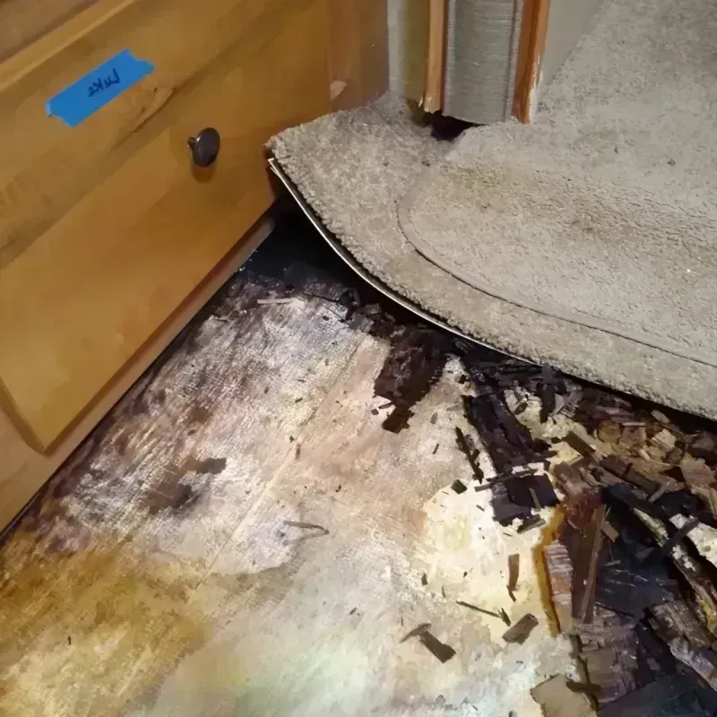 Wood Floor Water Damage in West Modesto, CA